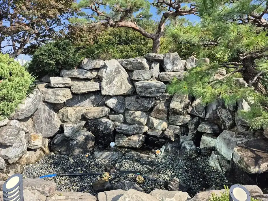 소나무 아래 돌을 쌓은 연못 벽면과 바닥 가장자리를 확인하는 오산 연못 점검 모습