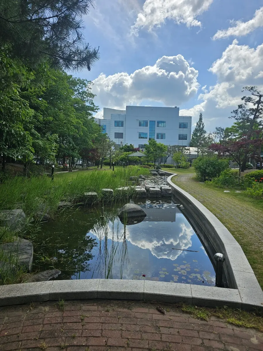 대전 정원 연못 곡선 가장자리와 벽돌 보도가 이어지는 전경 시공 완료